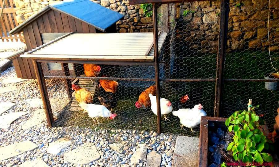 Casa Rural Las Lezas Biel Szoba fotó